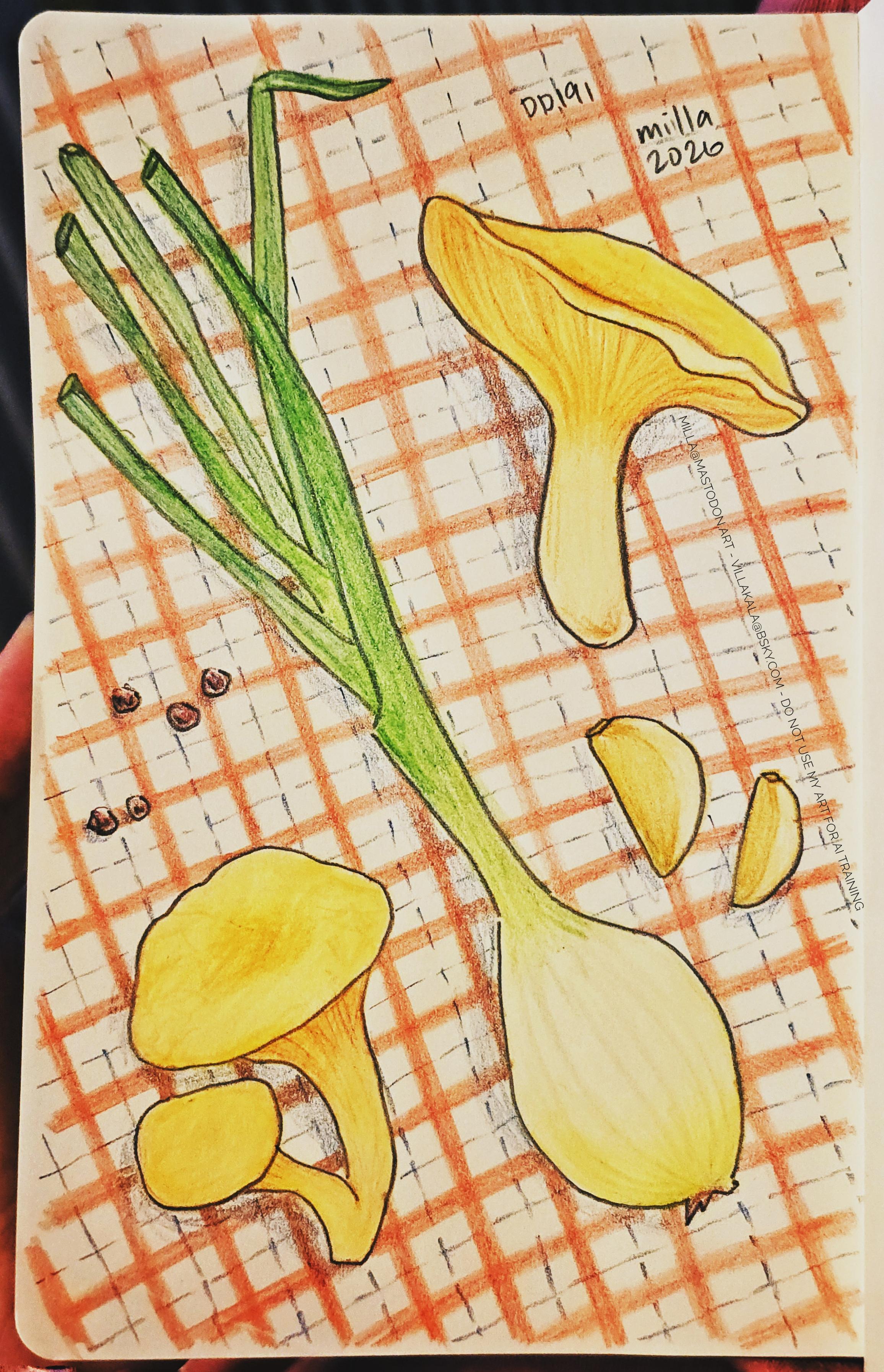 Colored pencil drawing of some yellow chanterelles, a plump summer onion with a long green stem, garlic cloves and black pepper laid on a red and white plaid tablecloth.