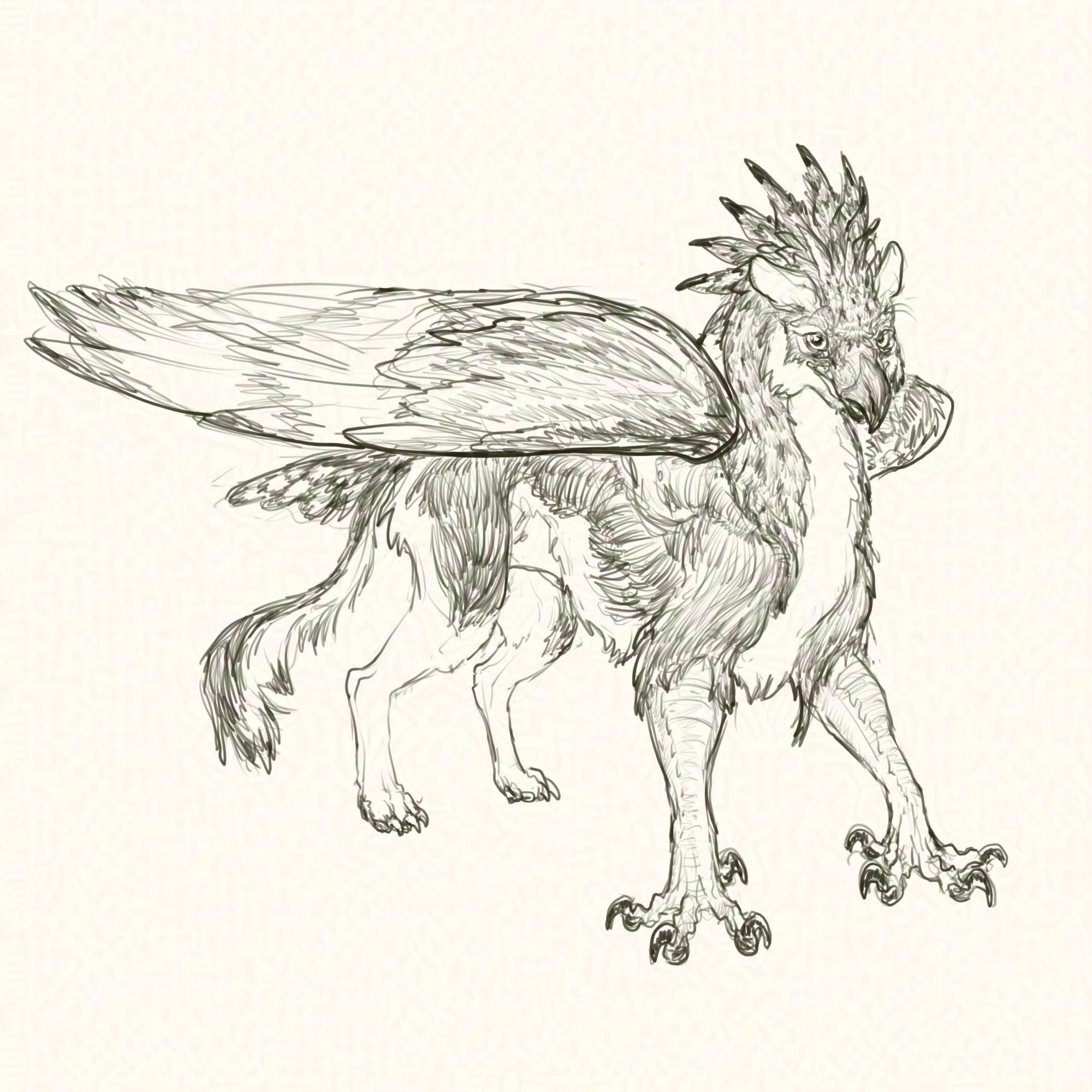A digital black and white detailed sketch depicting a young (teenager) gryphon or griffin character named Ferris (belongs to Chickenzaur) standing energetically on lanky legs and taloned forepaws, radiating cuteness and explosive energy.