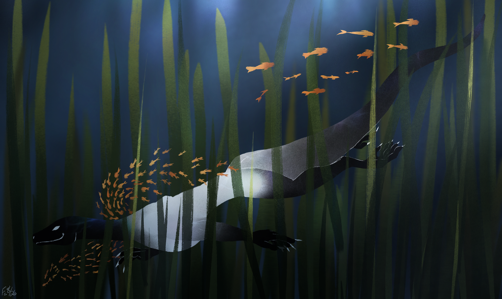 A lizard-like creature in a monochrome scale of black and white swims amidst lush green sea grasses and is accompanied by curious, golden-scaled fish. The blue waters are murky, allowing just enough light from above to see by. The artist's signature & date, "Fc 8/26" are in the lower left corner.