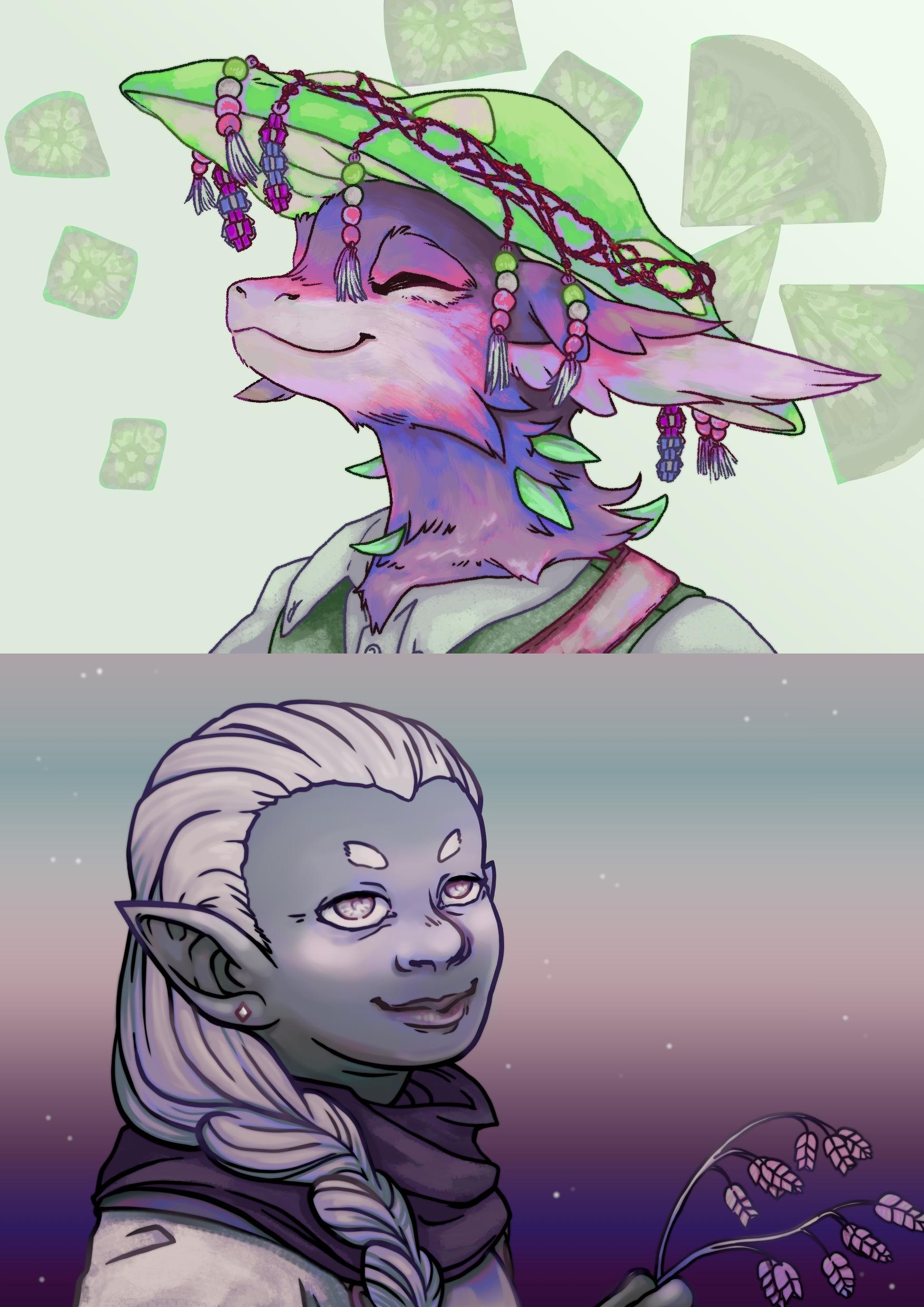 two illustrations one over the other. the top is a portrait of a furry dragon like character wearing a mushroom hat covered in charms. the bottom is a dnd drow character looking towards an implied sunrise holding some rattlesnake grass