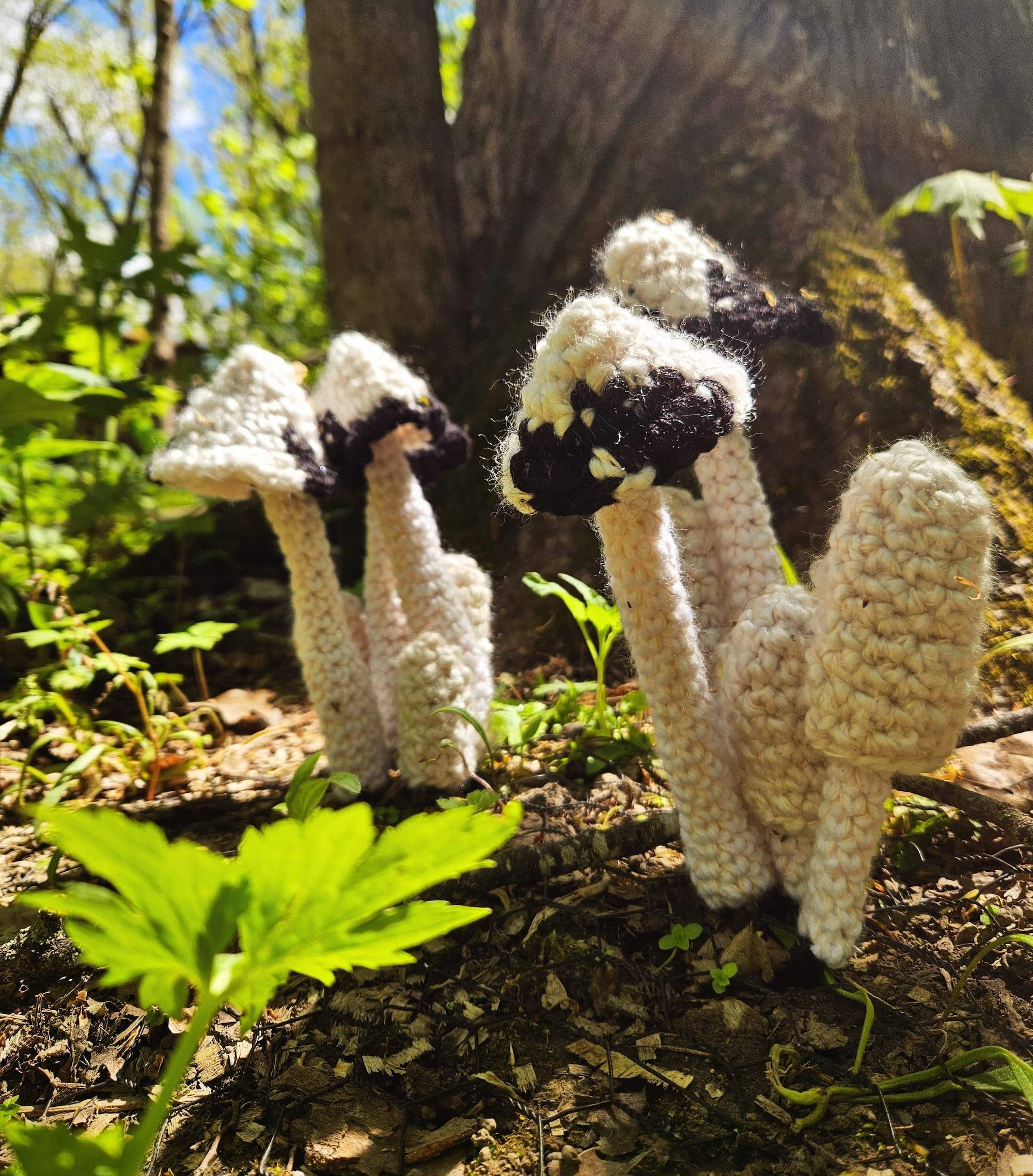 a cluster of crocheted black-and-white mushrooms in woods in Minnesota