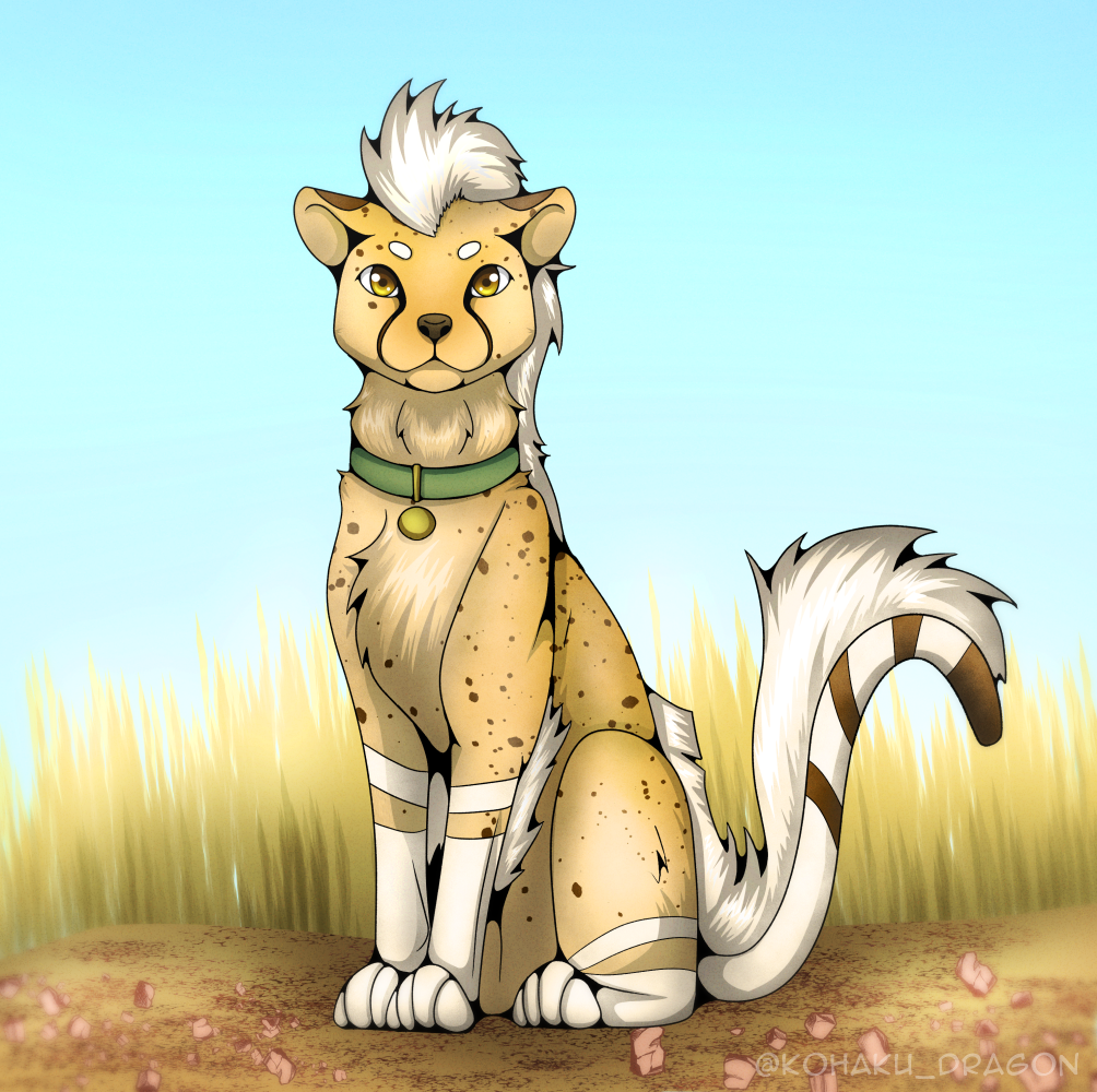 A cheetah sitting on the ground surrounded by tall grass. He's wearing a green collar.