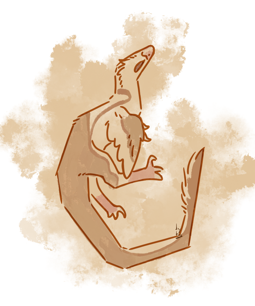 drawing of a deinonychus character in a jumping pose with its tail curled underneath. the main colour is drawn with a watercolour brush that spill outside of the lines, while the other colour use textured paint brushes. the character is shades of beige, the back half a slightly darker shade.