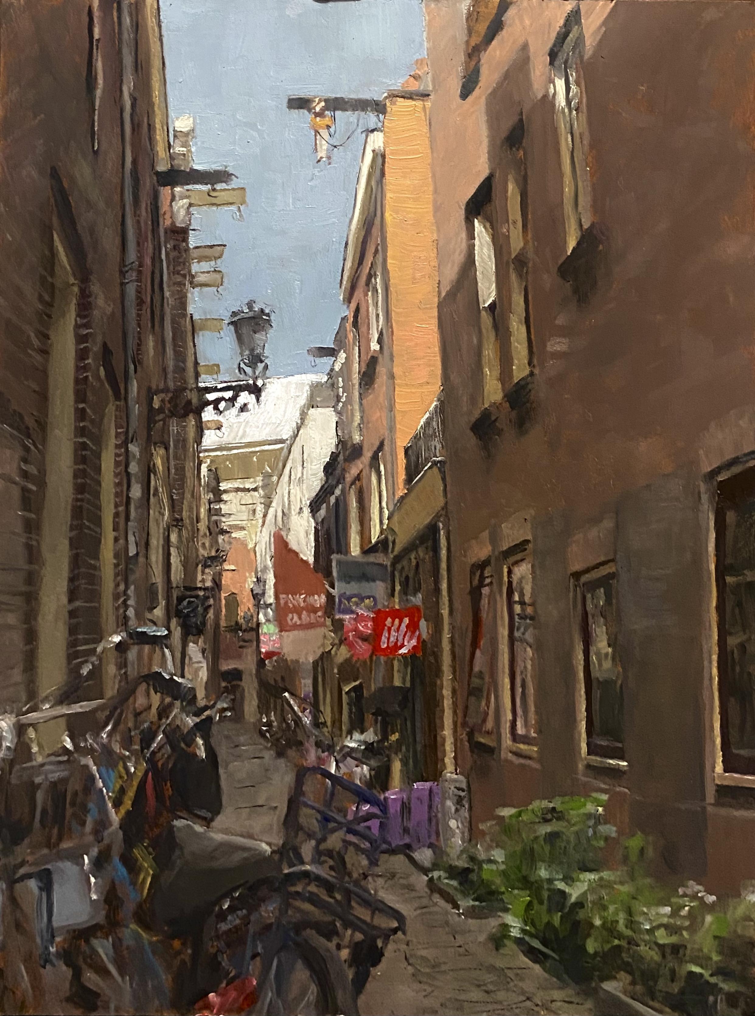 Pleinair oilpainting of a side street in Amsterdam. Most of the picture is in the shade with a few roofs in sunlight. There are bicycles, windows and other various alley stuff. Also, there is a sign advertising pokemon cards. That’s also the me of the painting.

30x40cm oil on panel, done in one 10 hour sitting