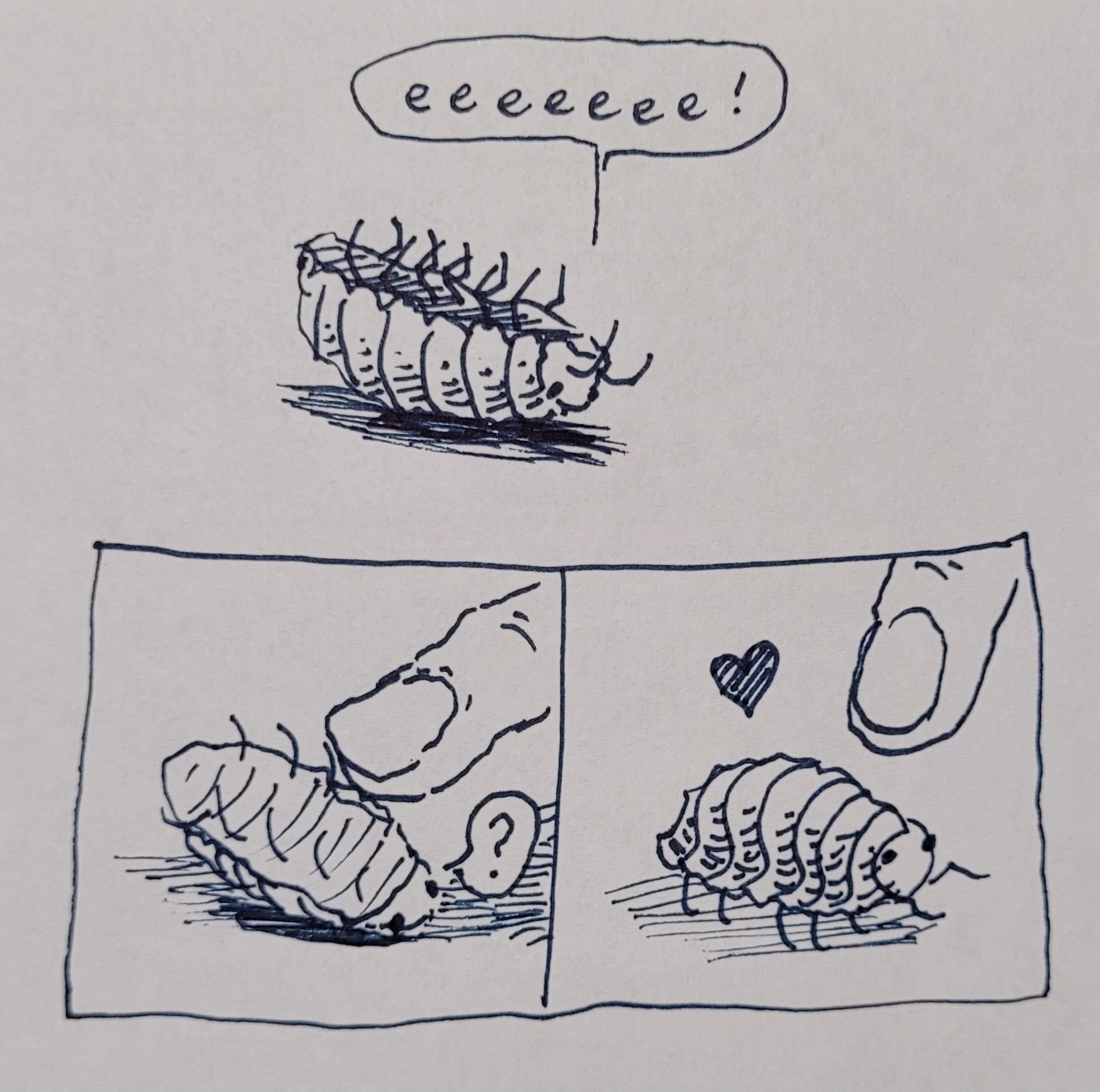 Three panel comic. 1. A pill bug (Armadillidiidae) is upside-down crying, "Eeeee!" 2. A human finger starts to roll the bug over. The bug asks a wordless question. 3. The bug is right-side up with a little heart as the finger remains nearby.