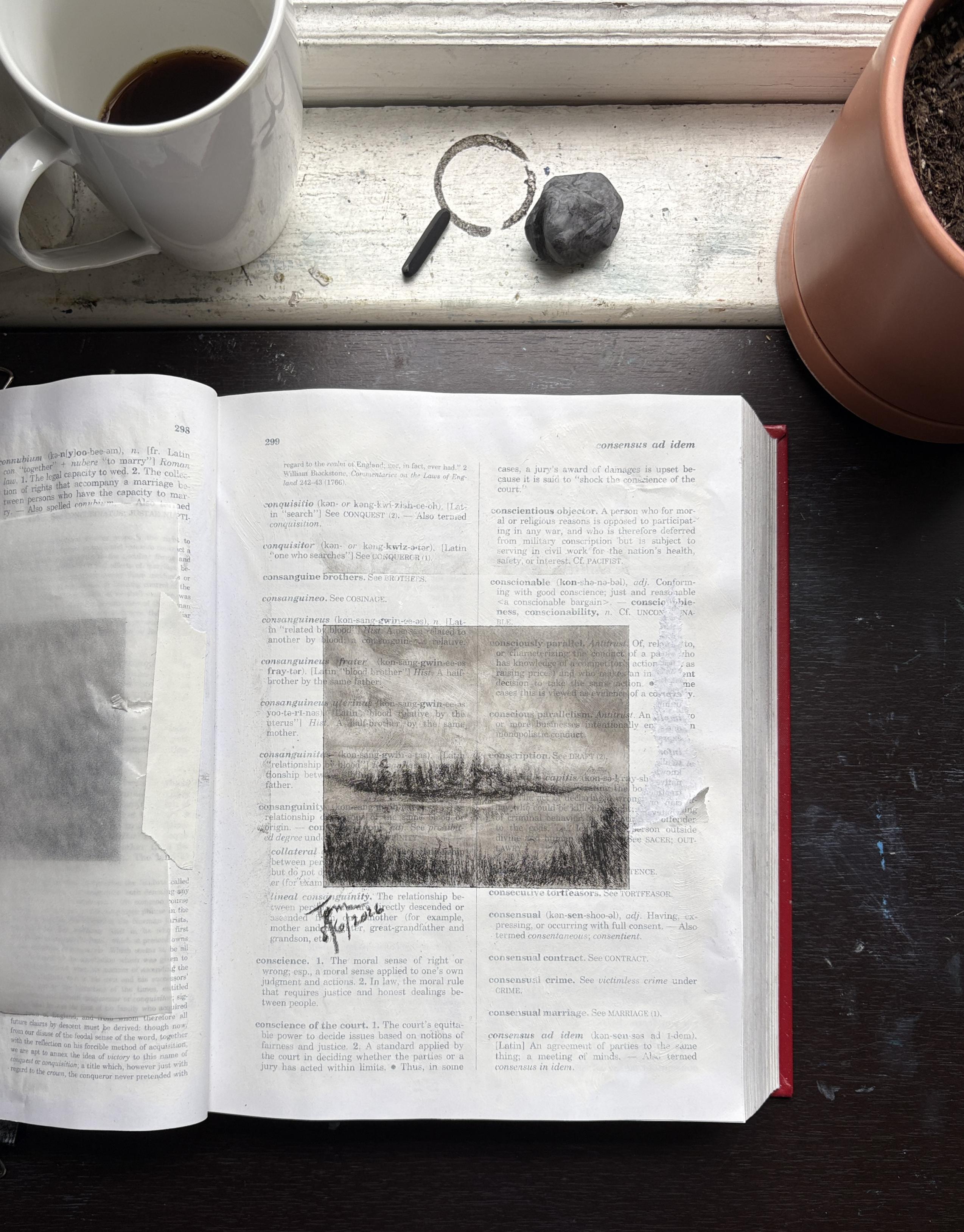 Page 299 in Tisha Mark’s law dictionary. Photo of my law dictionary opened to a page with a rough charcoal sketch of an island in a lake underneath a sky with atmospheric cloud formations. Words on the page are partially visible underneath a thin layer of gesso and sketch. On the windowsill at the top of the photo is a coffee cup, a piece of charcoal, a kneadable eraser, and a partially visible potted plant.