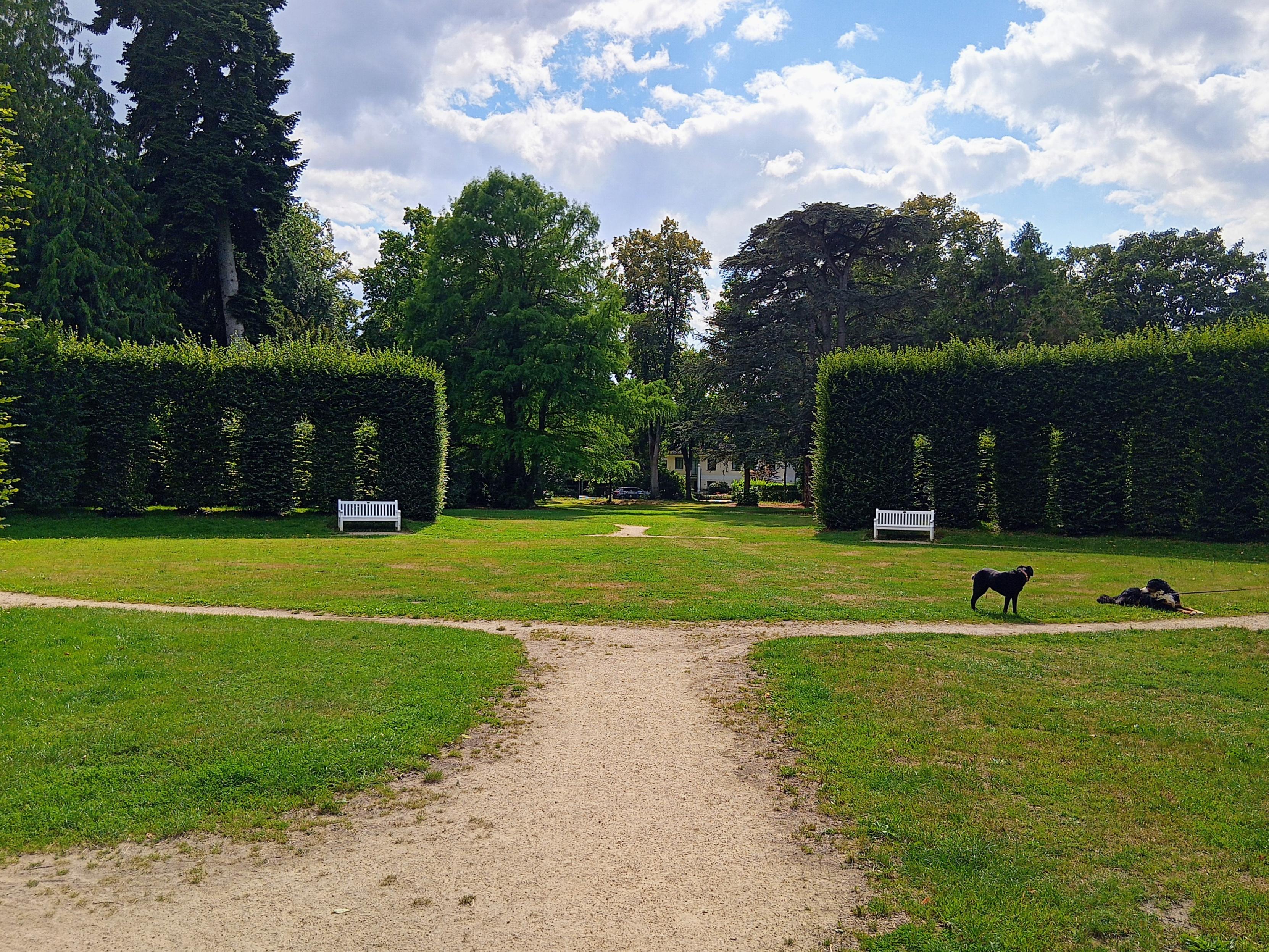 Sommerlicher Park mit altem Heckentheater.