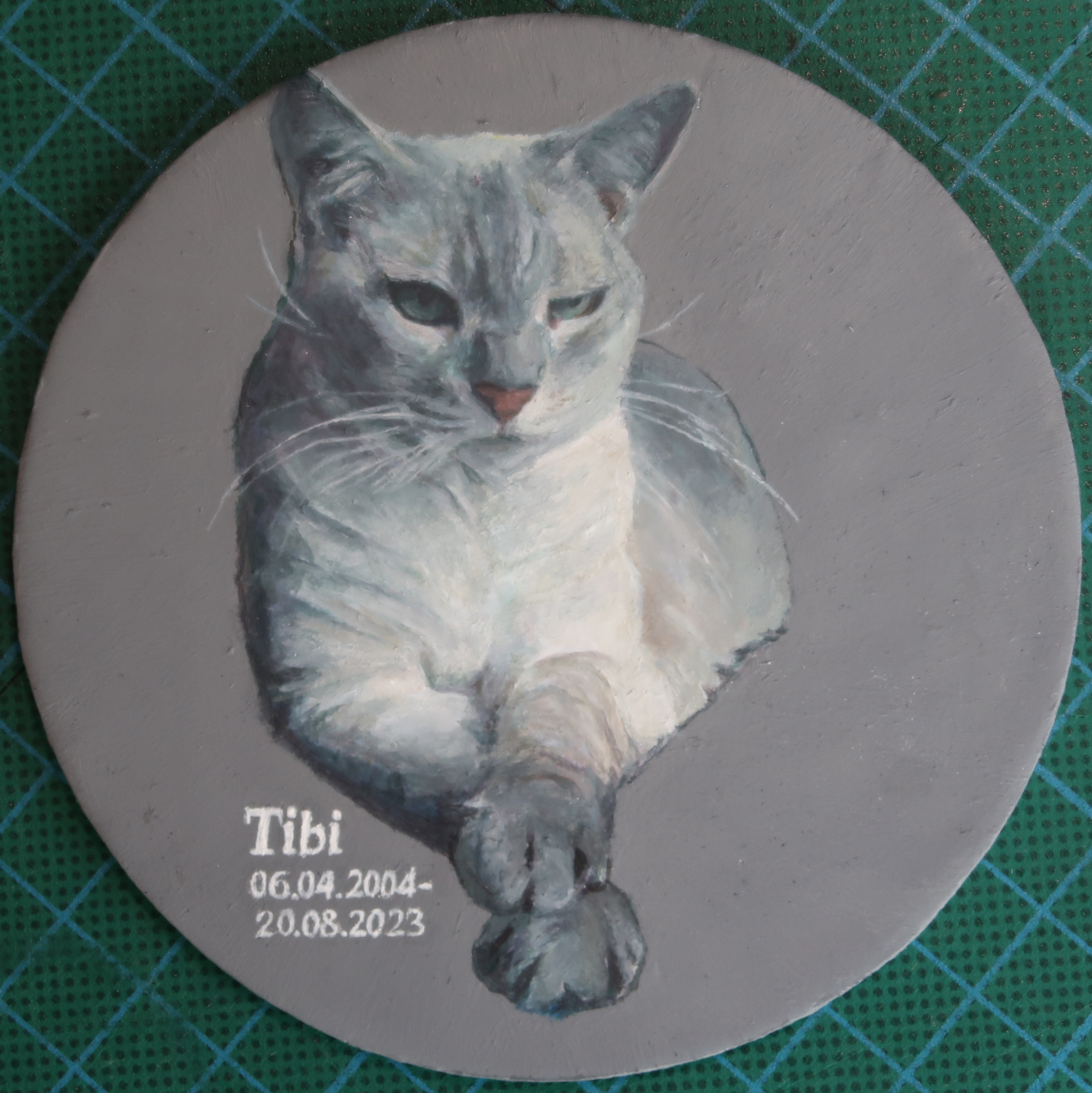 An acrylic painting on a round canvas. A grey cat with some lighter areas sitting in a majestic manner- she is facing us, one eye half-closed and one front paw laying on the other front paw. On the left bottom it says: Tibi 06-04.2004-20.08.2023.