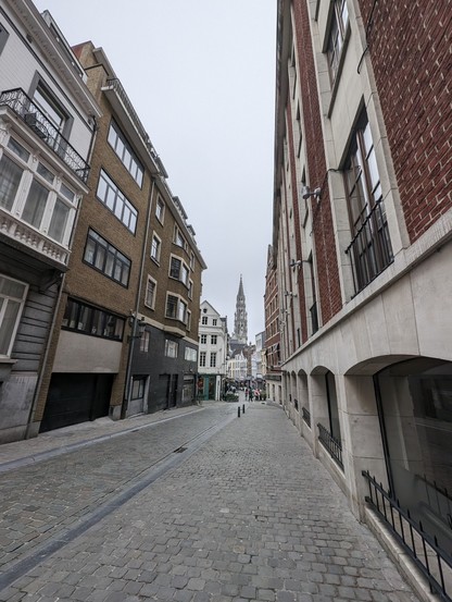 Wide angle shot of a street in Brussels