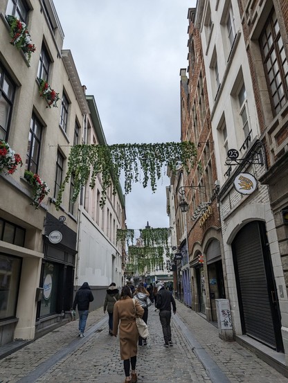 Random street in Brussels, with greenery hanging from a cable connecting the buildings on either side. Pedestrians walk on the stone road below.