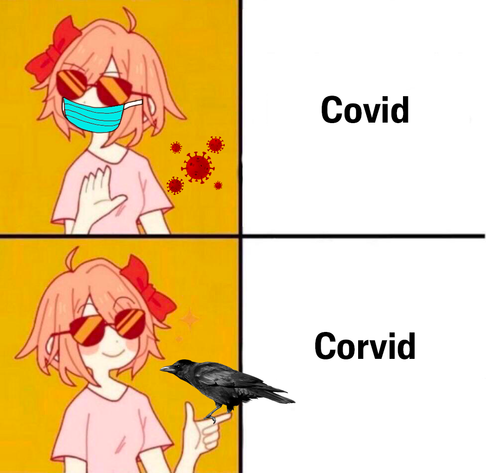 Posted media