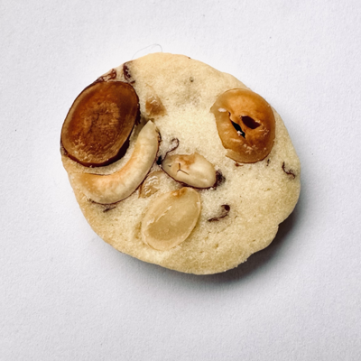 vv@mastodon.gamedev.place