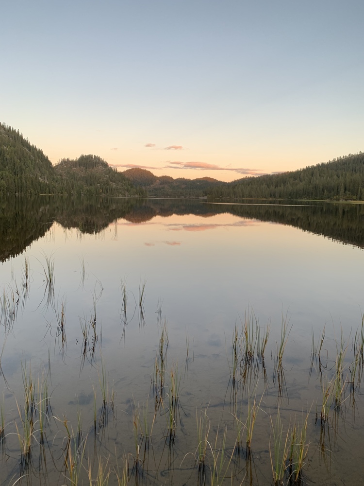 tinelinen's profile header