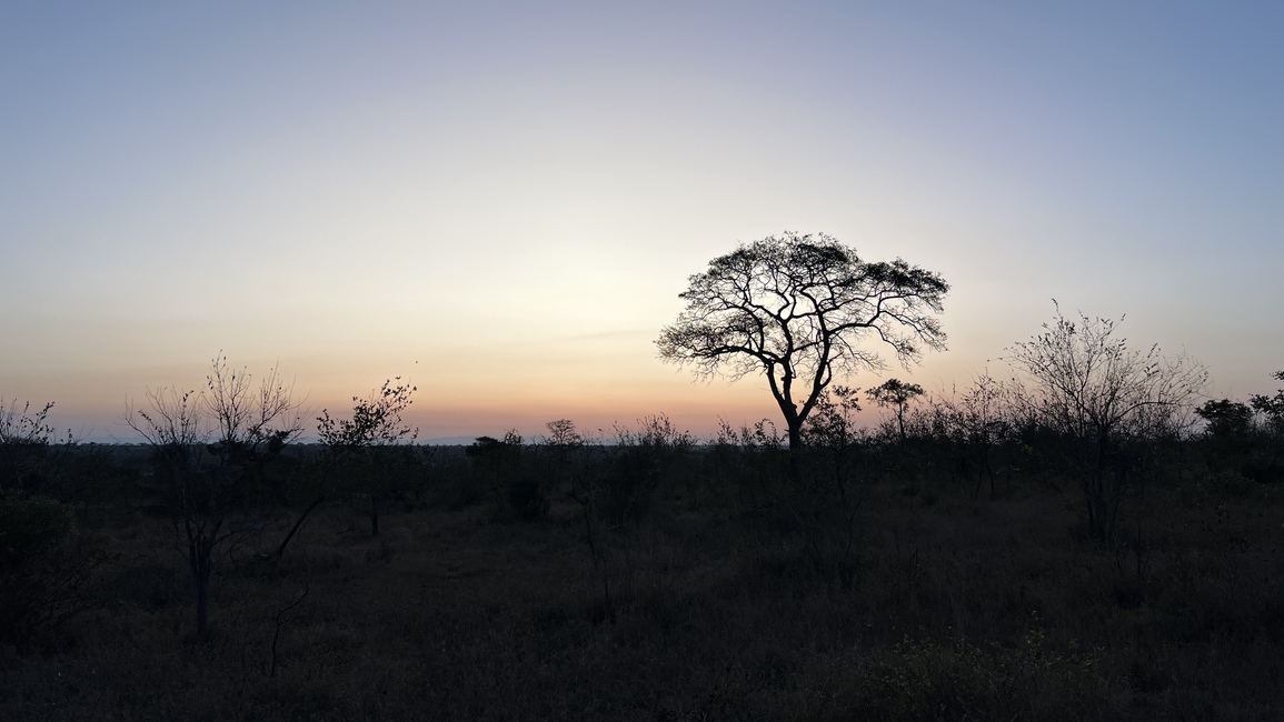 trigrou's profile header