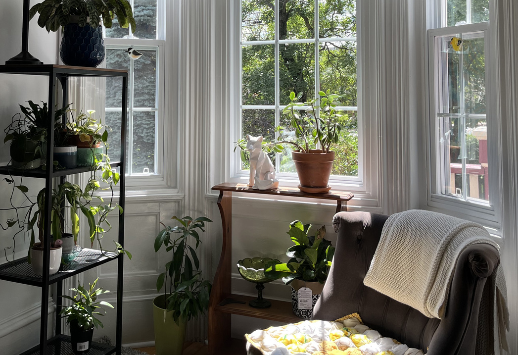 dicey's profile header