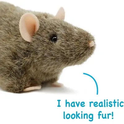 queenofsquiggles's avatar