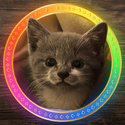 Stormthecat's avatar