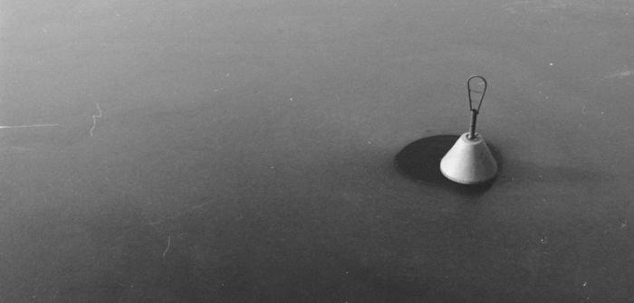 Miikka's profile header