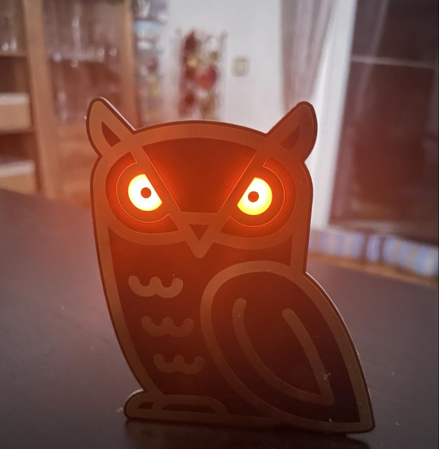 DerMolly's profile header