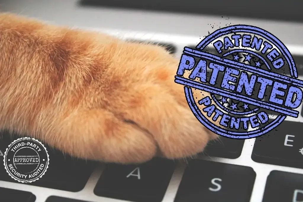 catsalad's profile header