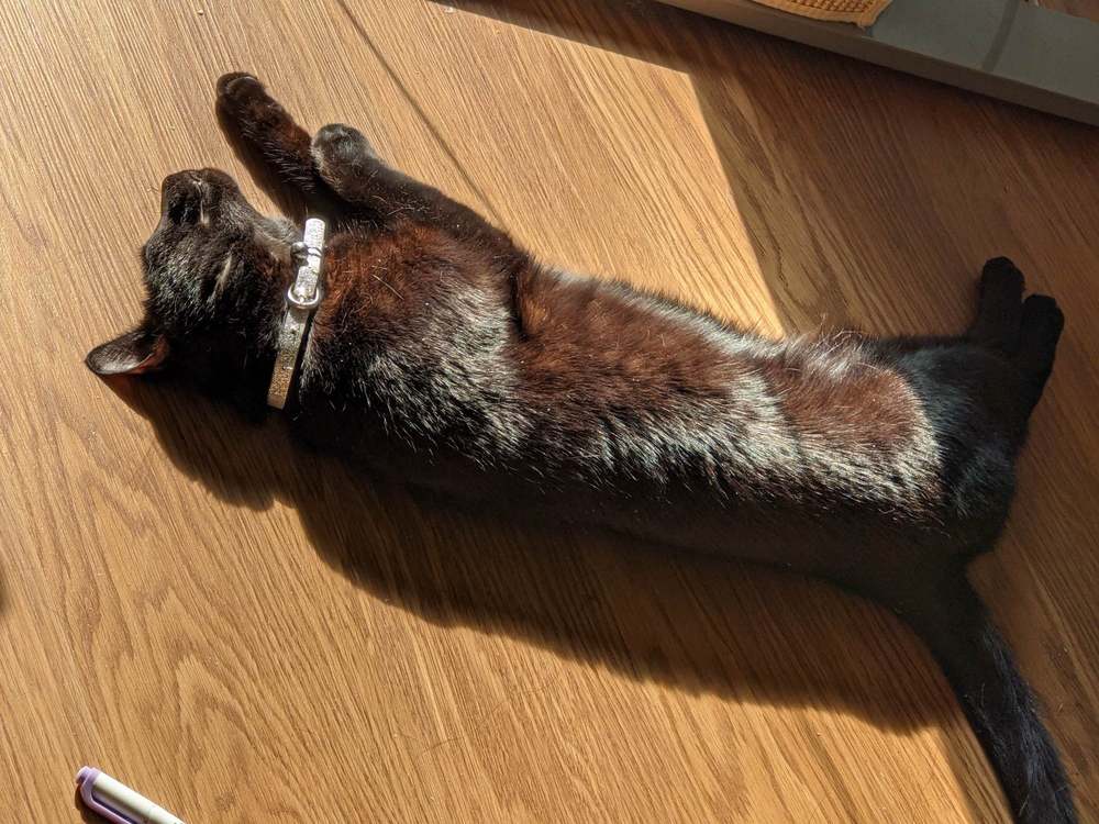 BackAt50Ft's profile header