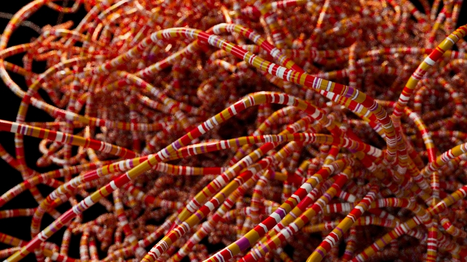 thelizardlarry's profile header