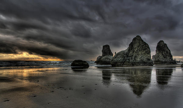 TRZPhotography's profile header