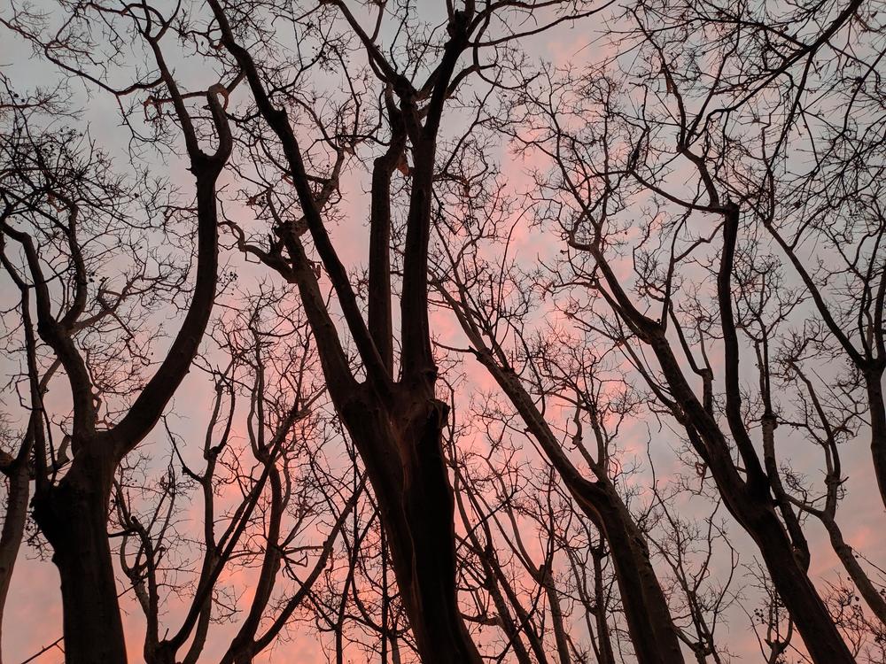 fullfathomfive's profile header