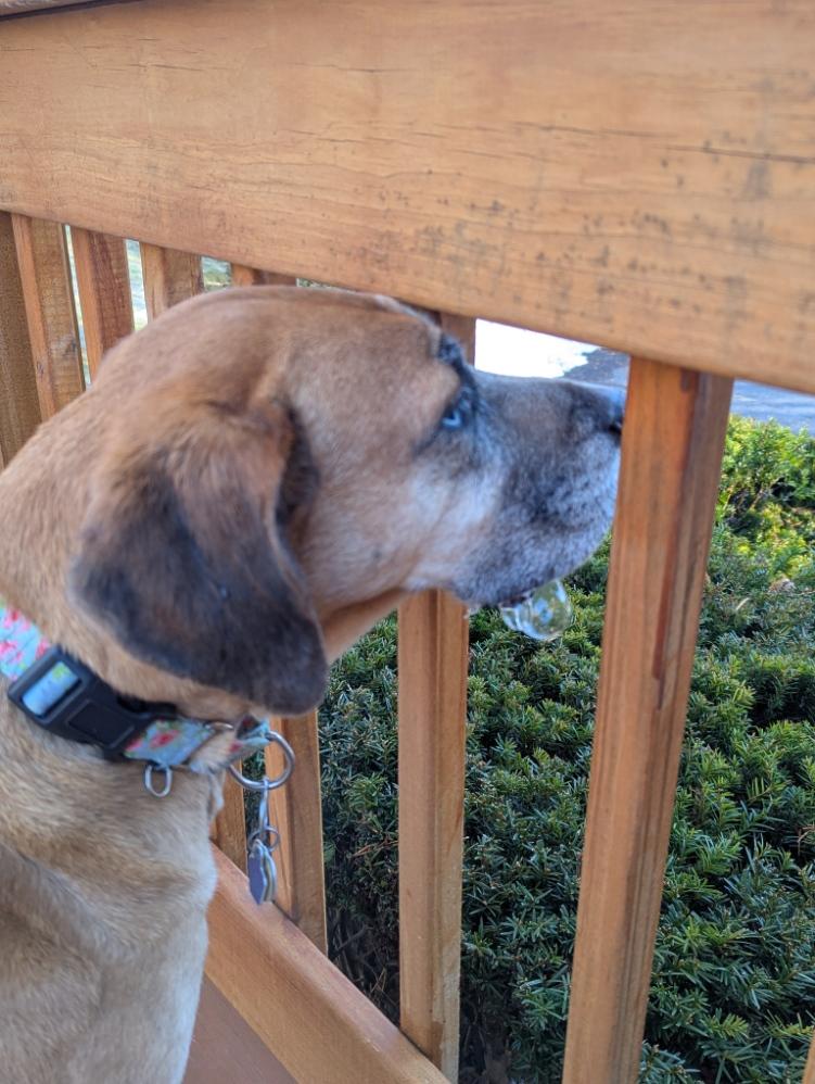 CoachMark's profile header