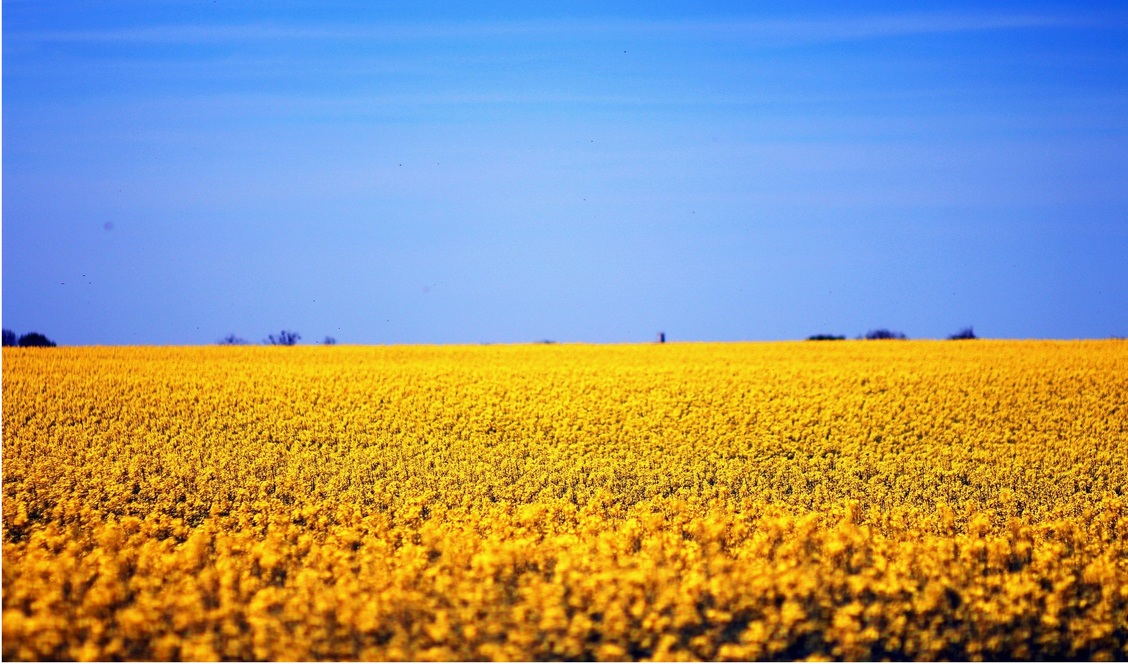 MarvinTheMartian's profile header