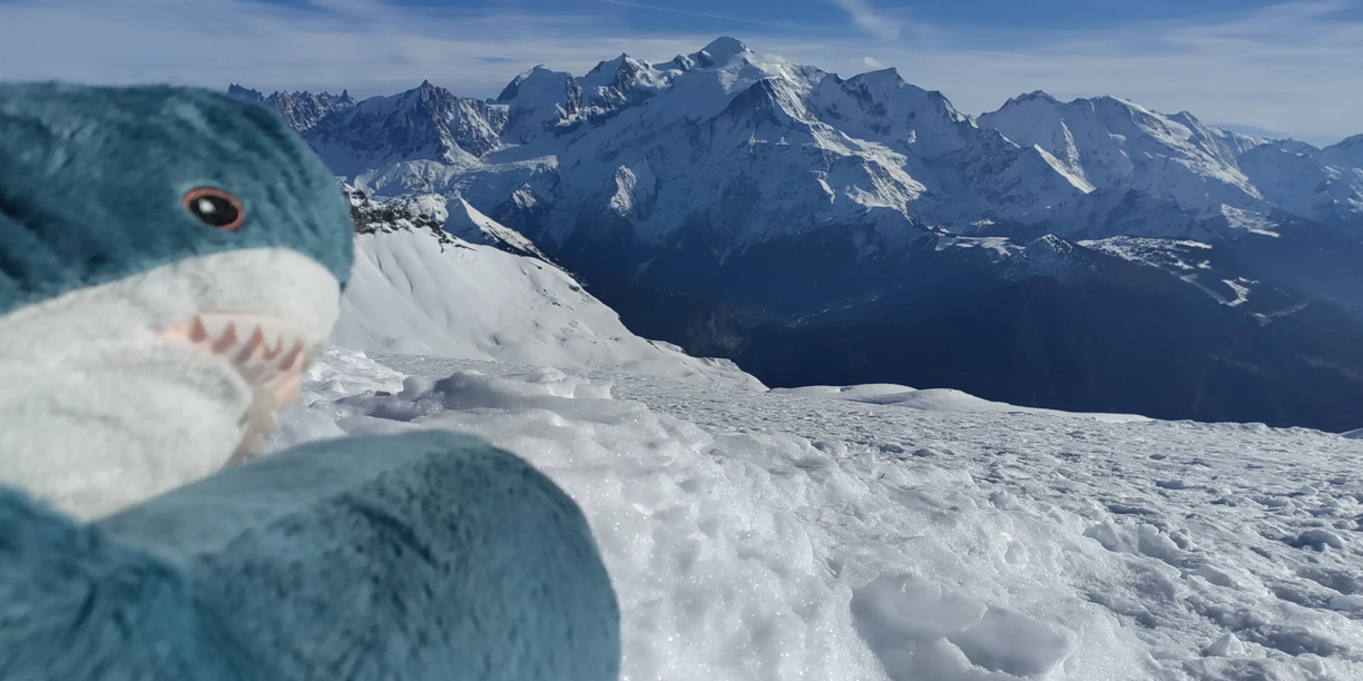 pjb's profile header