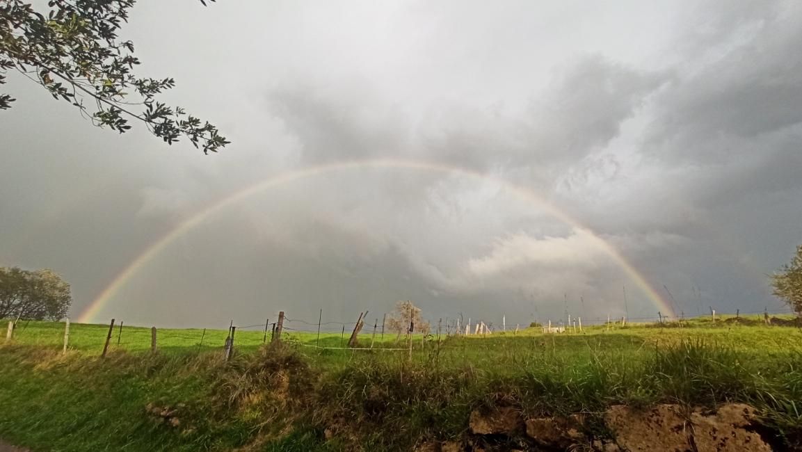 Miedoambiente's profile header