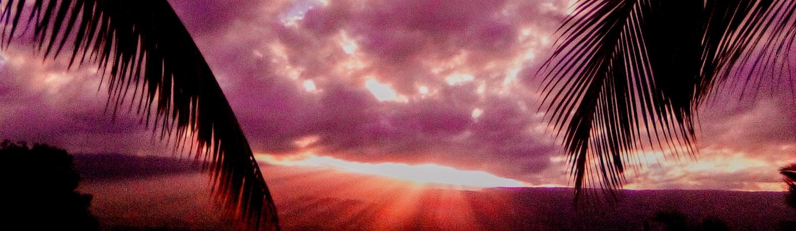 purrperl's profile header