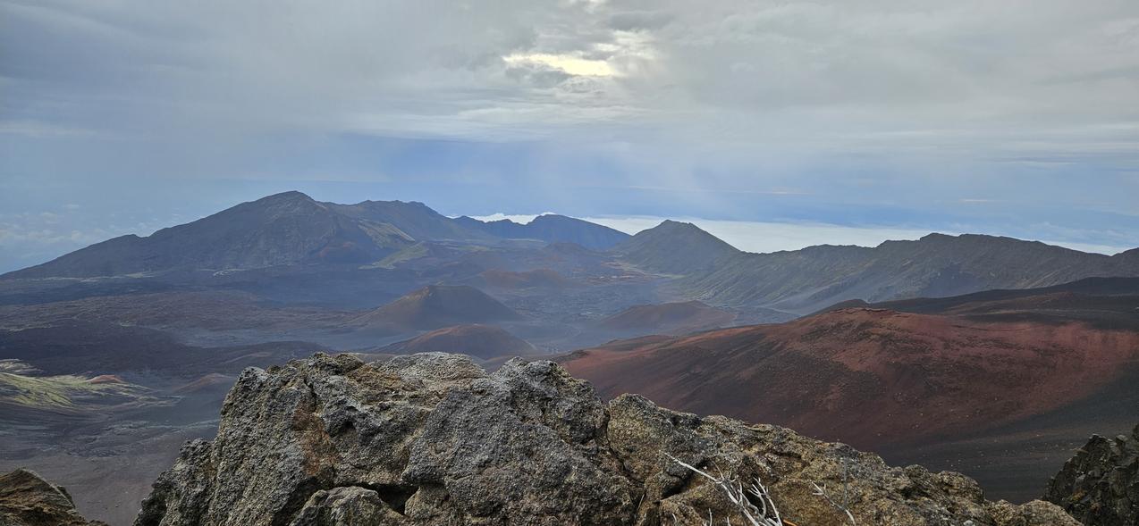 bich's profile header