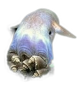 :Dambo8: