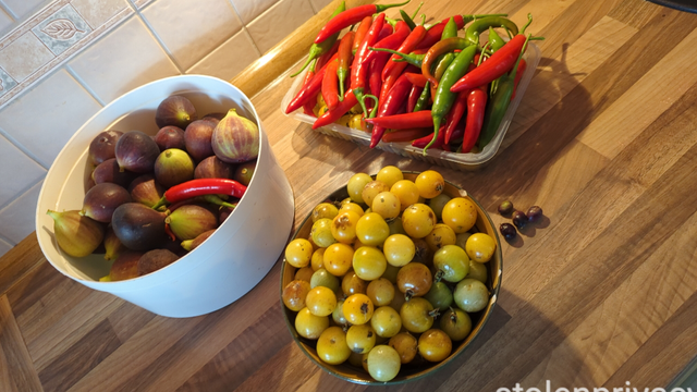 3 Schüsseln mit vielen Feigen, Chillies und gelben Tomaten. Und vier schrumpelige Oliven