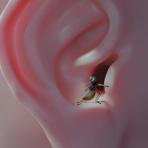 A 3D illustration of a cartoon mosquito playing a tiny violin inside a human ear.