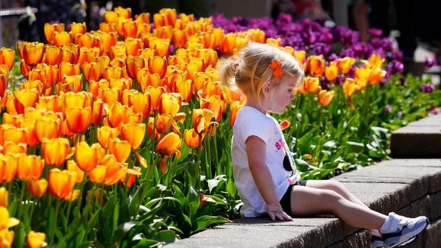 Things to do in Cincinnati this week: March 31-April 6