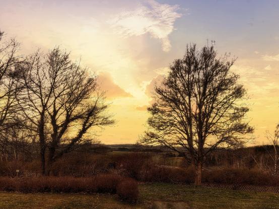 Landschaft mit Sonnenuntergang. Vor dem gelb schimmernden Himmel erheben sich zwei kahle Bäume.