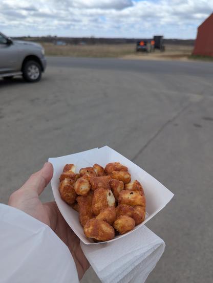 fried cheese curds in a basket, with a horse an buggy in the background