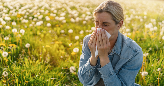 Researchers set up new devices to accurately measure pollen in the Netherlands