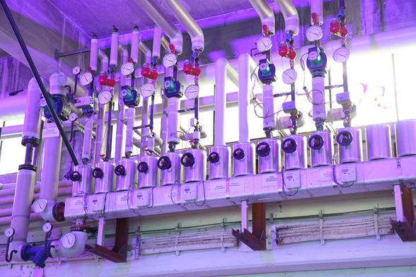 System with lots of pipes, stopcocks and pressure indicators, probably part of a heating system. It's mounted on a wall just below the ceiling.