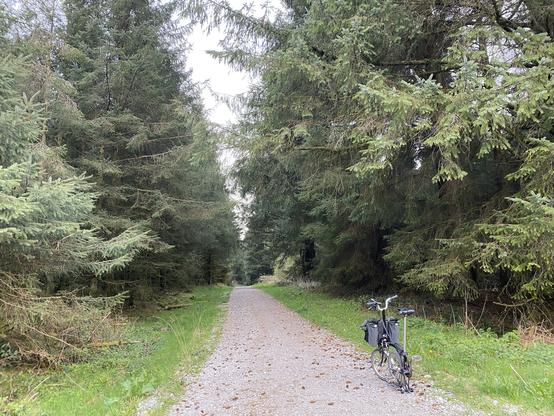 Brompton auf hier vergleichsweise feinkörniger Gravelstrecke durch den Wald