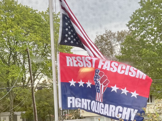 At top, the American flag flies upside-down because our nation is in distress. At the bottom is a flag that reads: Resist fascism; fight oligarchy.