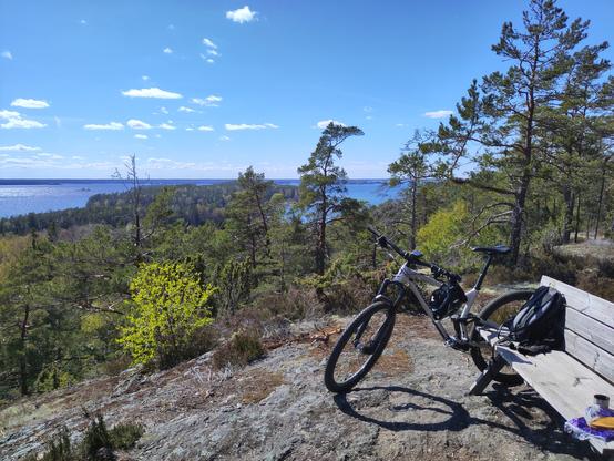 Bike on a hill, overlooking a forest and the ocean
