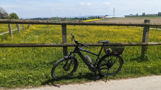 Photo of my eBike in front of a paddock that has no horse, but thousands of little yellow flowers.