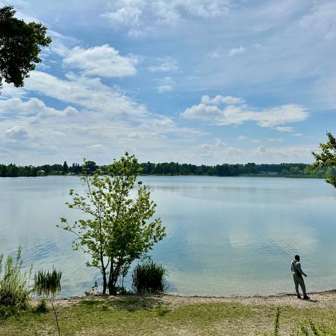 Un homme debout sur la rive d’un lac en arrière plan l’eau bleue claire, un arbre et des iris les racines et les pieds dans l’eau. 
Le ciel est bleu avec des nuages blancs.