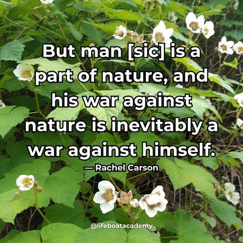 A social post from @lifeboatacademy which says: But man [sic] is a part of nature, and his war against nature is inevitably a war against himself. - Rachel Carson