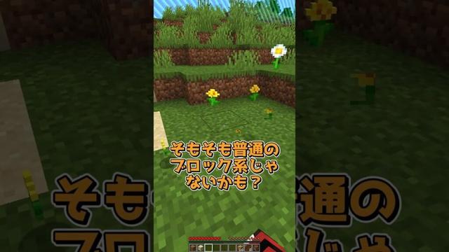 どれかが大当たり #マイクラ