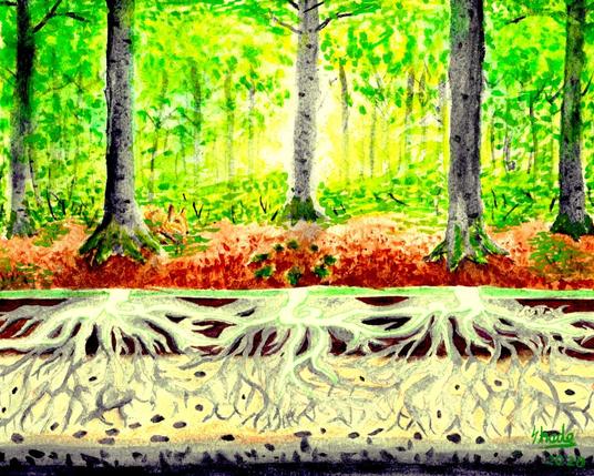 In this watercolour painting, titled Freundschaften, beech trees stand over a backdrop of green foliage.  Amongst them, a circle of 'stones'.  A cutaway view of the underground reveals that theses 'stones' are actually the remains of an enormous, ancient tree stump kept alive for centuries by the surrounding trees.

This is based on an account by German Forester, Peter Wohlleben as written in eir book, Das geheime Leben der Bäume (Eng: The Hidden Life of Trees).  The artwork also owes its name to the first chapter of the book, also called Freundschaften which means "friendships" in German.